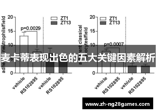 麦卡蒂表现出色的五大关键因素解析