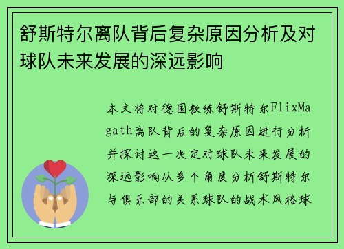 舒斯特尔离队背后复杂原因分析及对球队未来发展的深远影响 舒斯特尔离队背后复杂原因分析及对球队未来发展的深远影响