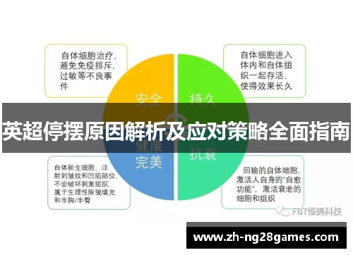 英超停摆原因解析及应对策略全面指南 英超停摆原因解析及应对策略全面指南